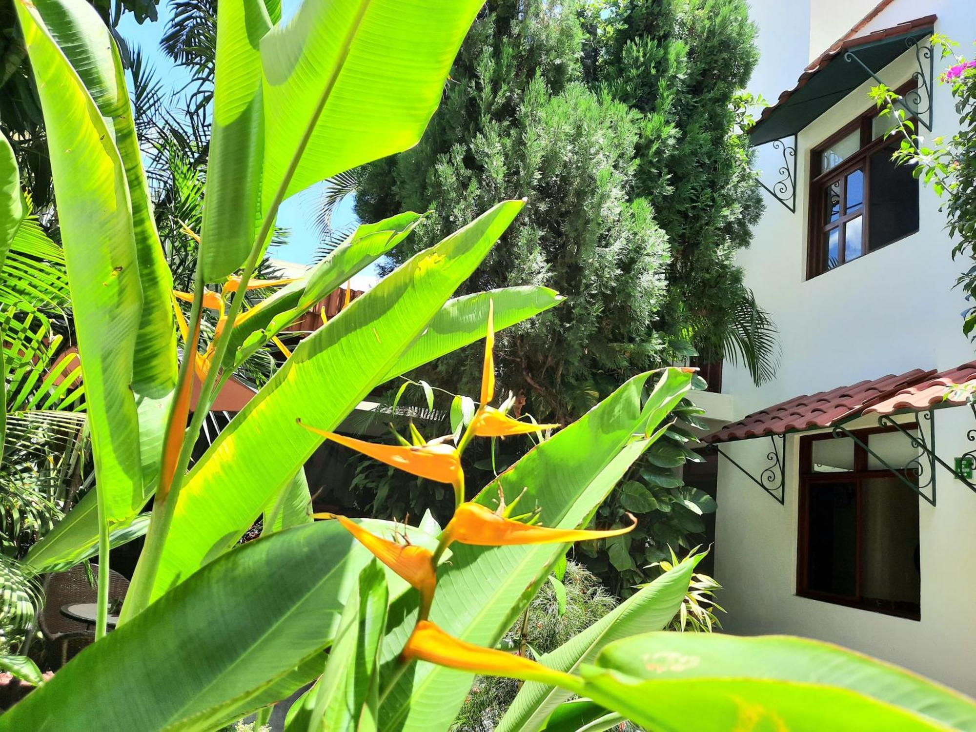 Casa Los Cantaros Hotel Boutique Oaxaca Esterno foto