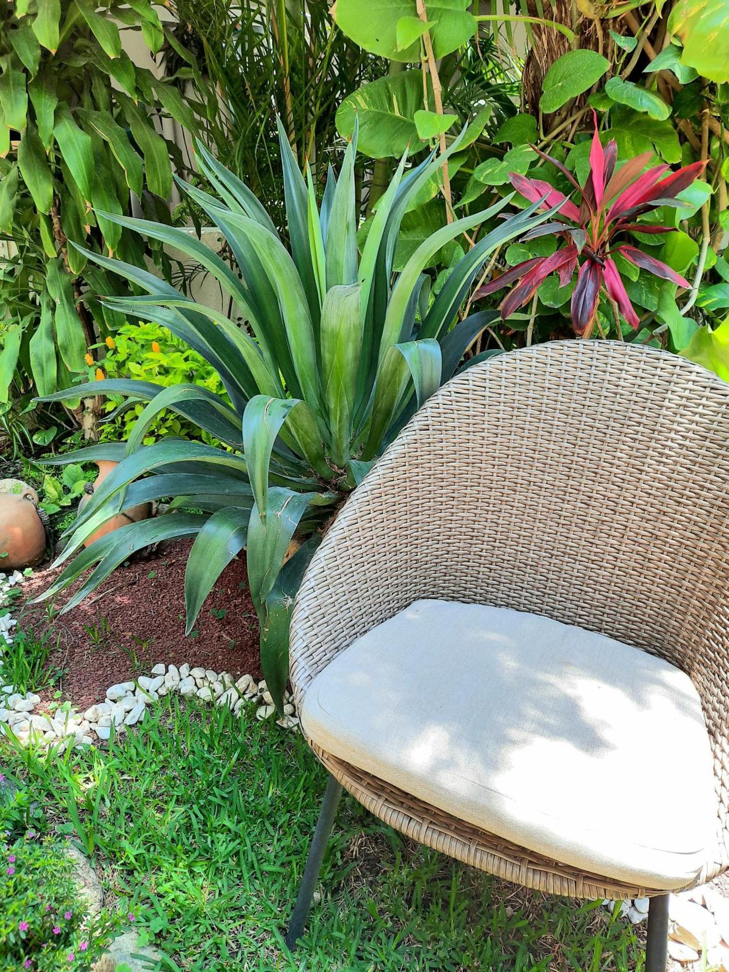 Casa Los Cantaros Hotel Boutique Oaxaca Esterno foto